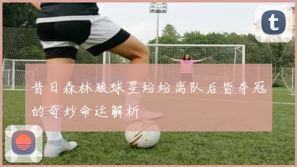 昔日森林狼球星纷纷离队后皆夺冠的奇妙命运解析