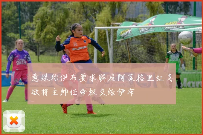 意媒称伊布要求解雇阿莱格里红鸟欲将主帅任命权交给伊布